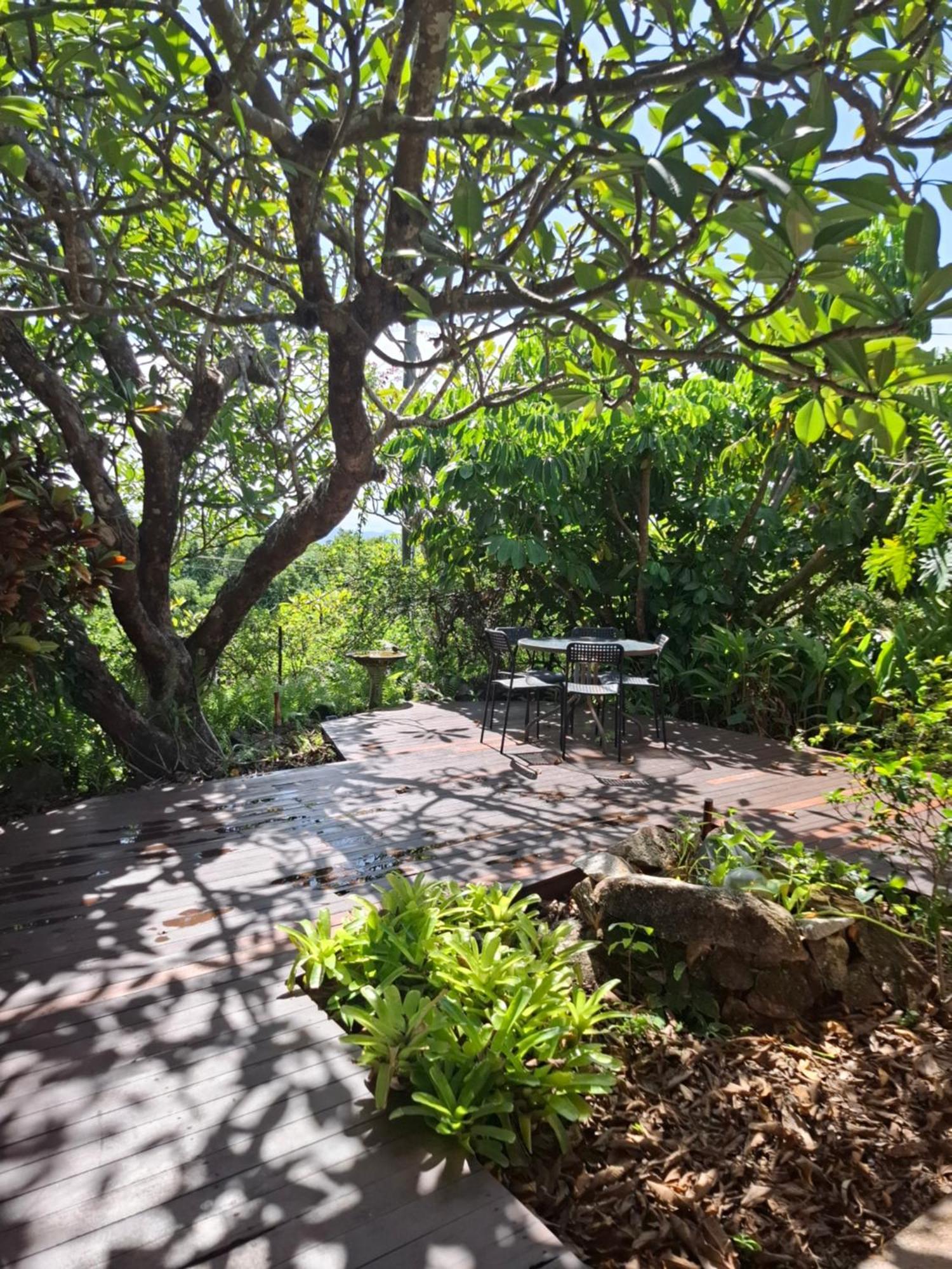 J & Ella'S Holiday House - 2 Bedroom, 2 Bathroom Home Cooktown Exteriör bild